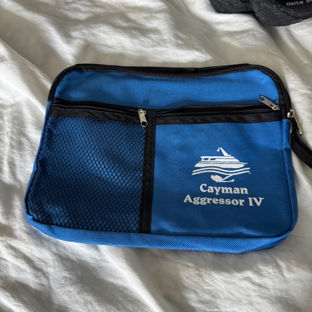 Small travel accessory bag